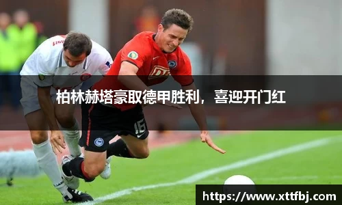 bsports官网入口