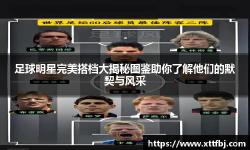 B体育bsports